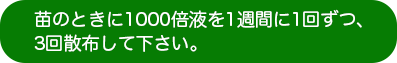 苗を健康に育てる